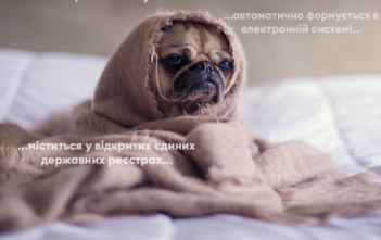 Мирослав Сімка: “Болюча стаття 17: проблеми і їх вирішення”